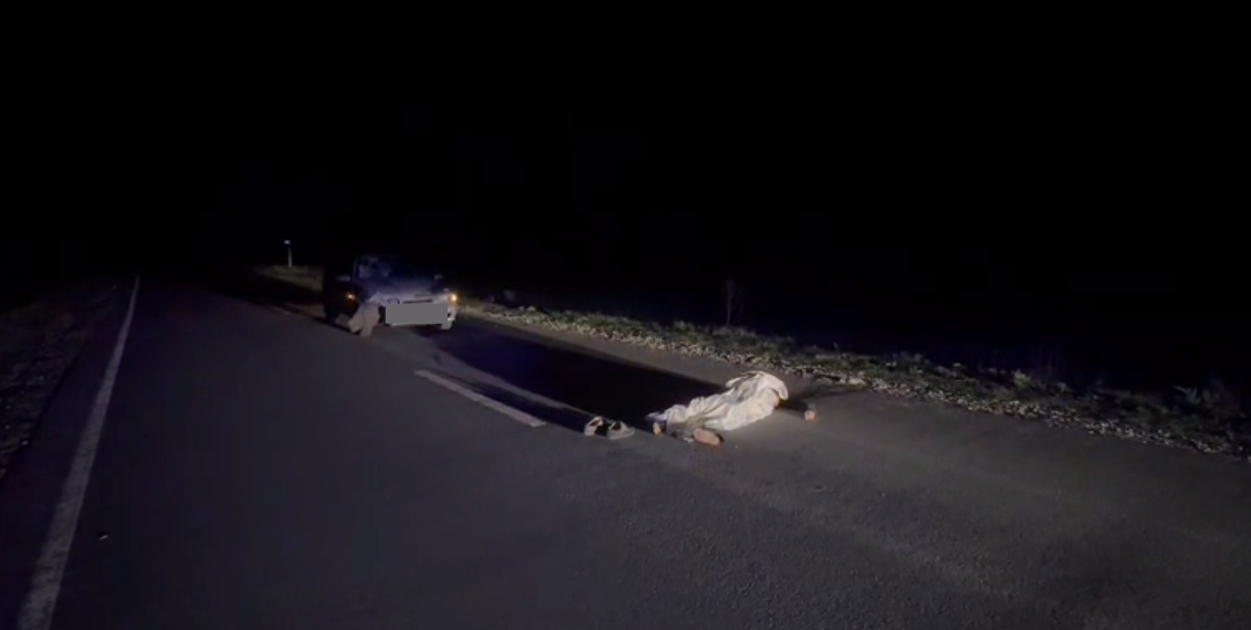 Вечером 8 мая на трассе под Ульяновском насмерть сбили шедшую по обочине женщину