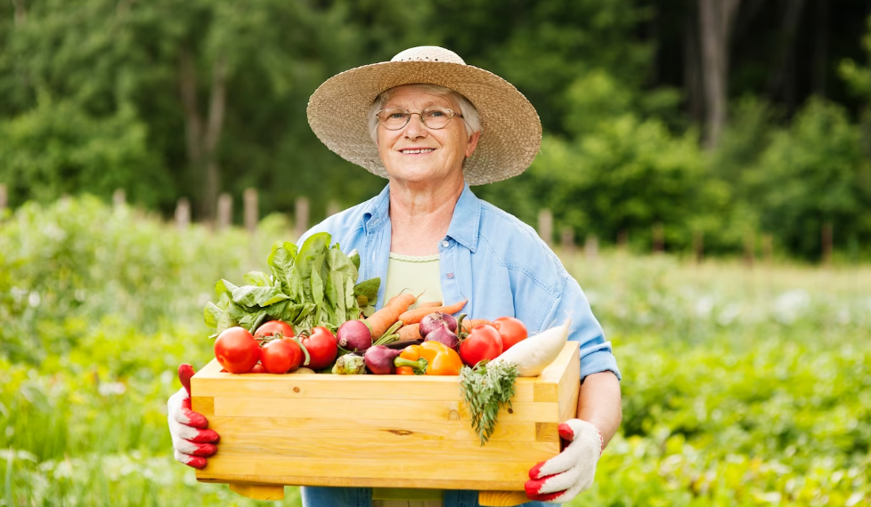 Заявления на компенсацию за проезд до дачных участков помогут оформить в МФЦ Ульяновска