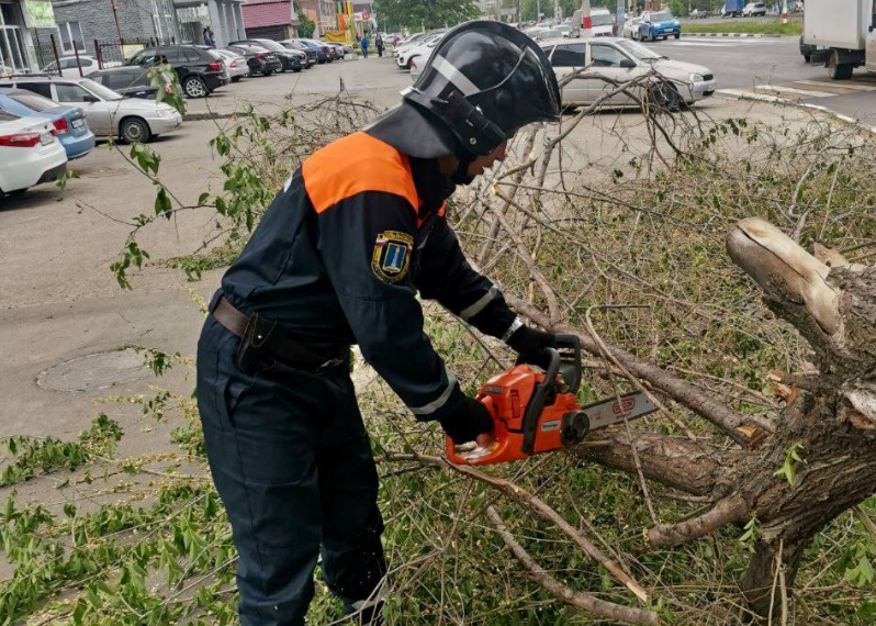 Утром 24 мая на севере Ульяновска огромная ветка упала с дерева на тротуар рядом с остановкой