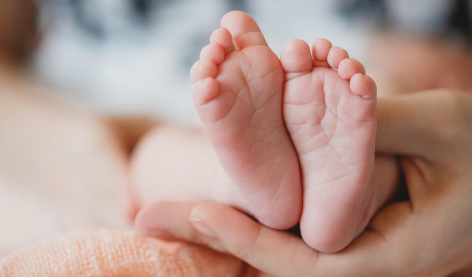 С начала 2023 года на свет появились 3489 новых жителей Ульяновской области