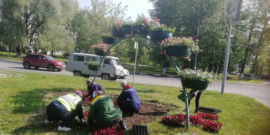 В Ульяновске начали массово высаживать цветники