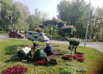 В Ульяновске начали массово высаживать цветники