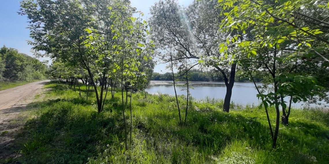 На Мостовой в Ульяновске обустраивают зону отдыха с волейбольными площадками у Свияги