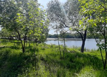 На Мостовой в Ульяновске обустраивают зону отдыха с волейбольными площадками у Свияги