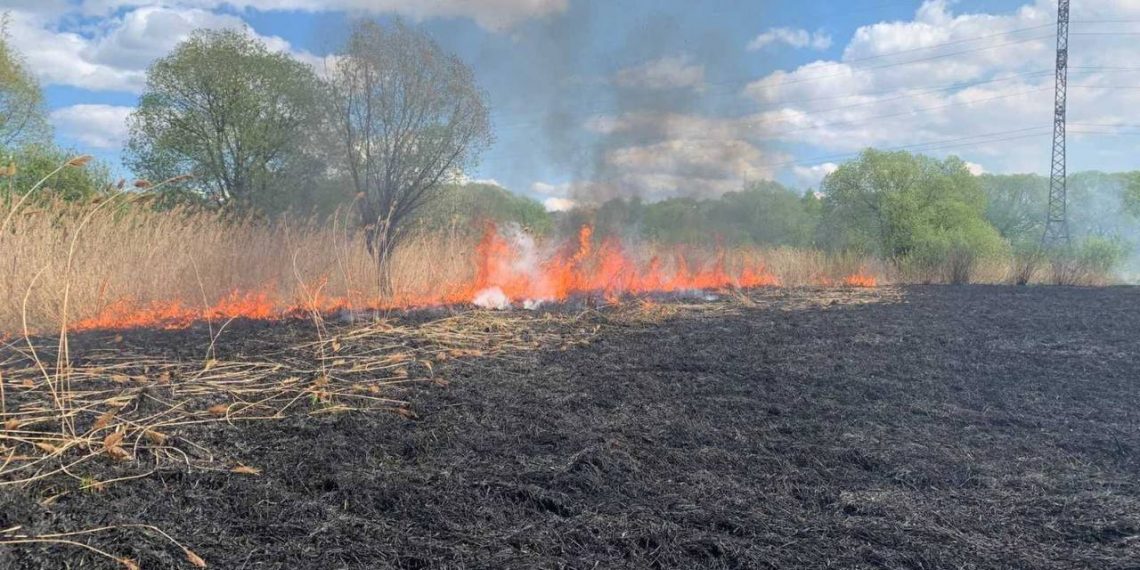 7 мая в Ульяновске загорелся экологический парк «Чёрное озеро»