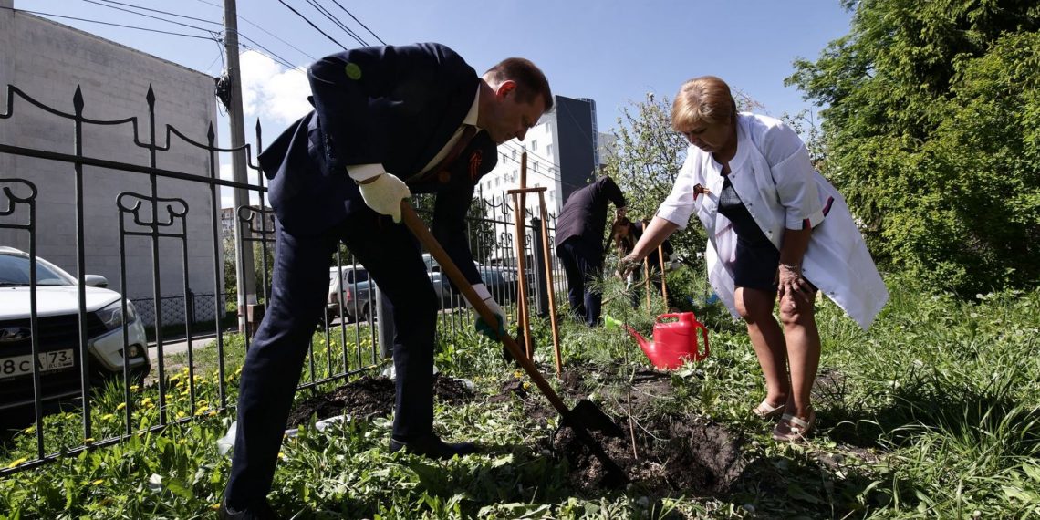 Ульяновский премьер Разумков посадил сосны в «Саду памяти» у госпиталя ветеранов войн