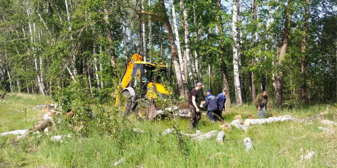 138 погибших деревьев снесли на Сельдинском шоссе в Ульяновске