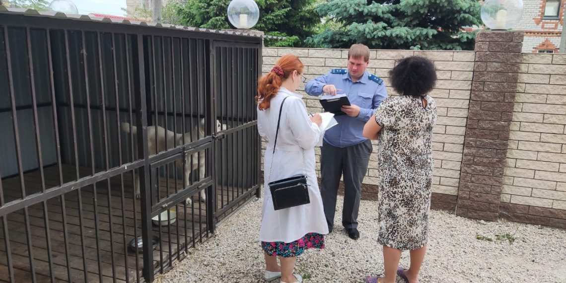 В Ульяновске поставили на госучёт нападавшего на людей и собак алабая