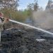 Неизвестные подожгли торфяник в Мелекесском лесу Ульяновской области