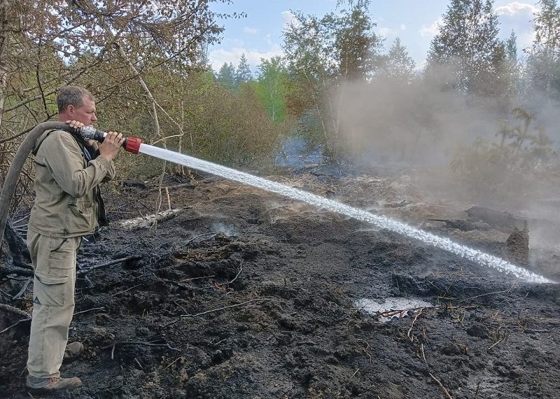 Неизвестные подожгли торфяник в Мелекесском лесу Ульяновской области