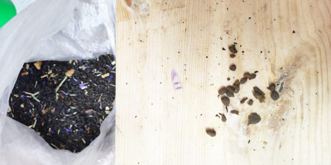 Жительница Ульяновска пыталась передать в колонию спрятанные в кухонные губки наркотики