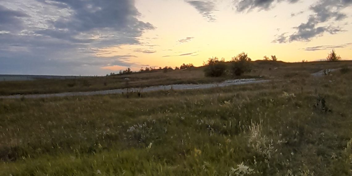 В Ульяновской области обнаружено почти 20 тысяч га необрабатываемых земель