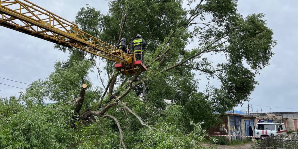 За три дня ульяновские спасатели ликвидировали шесть опасных деревьев