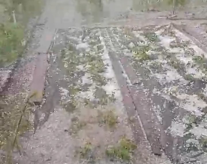 МЧС предупреждает ульяновцев