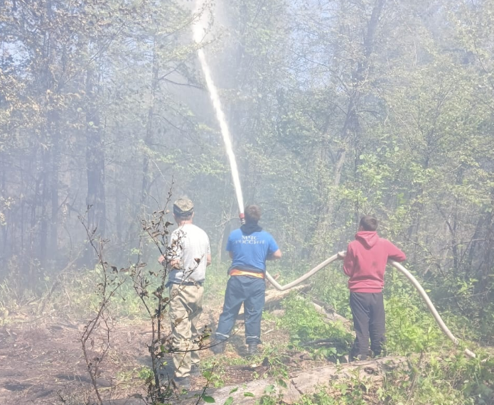 В Мелекесском районе Ульяновской области из-за поезда загорелся лес