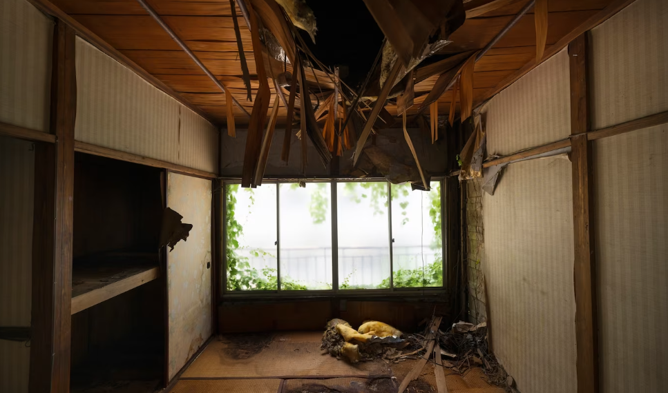 Ульяновская мэрия приведёт в порядок дефективные квартиры для нуждающихся горожан