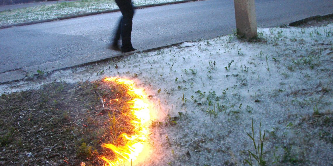 Секретарь областного совбеза Неробеев просит ульяновцев не жечь тополиный пух
