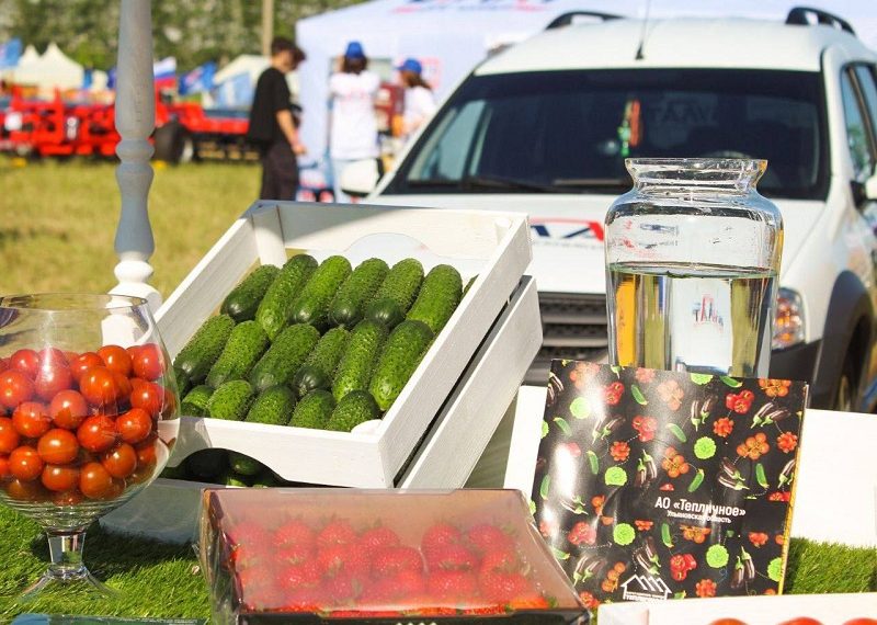 «День поля – 2023» пройдёт в Заволжском районе Ульяновска 24 июня