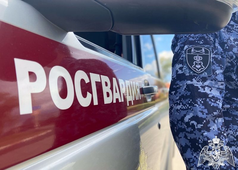 В минувший уикенд ульяновские росгвардейцы отлавливали возмутителей спокойствия в торговых центрах и супермаркетах