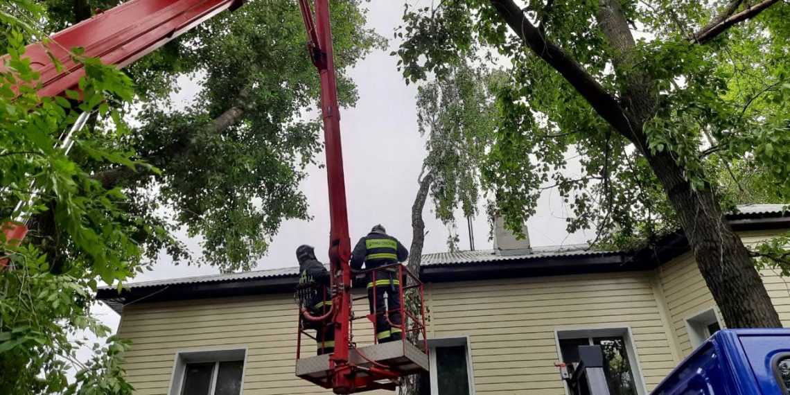 Задевавшее дымоход многоквартирного дома аварийное дерево убрали ульяновские спасатели