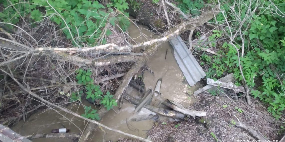 В Ульяновском Минприроды опровергли информацию о канализационных стоках в «Винновской роще»