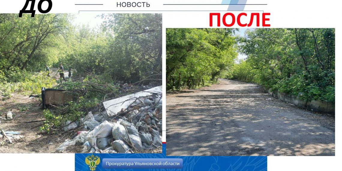 Должностное лицо мэрии Ульяновска оштрафовали за свалку на Сельдинском шоссе