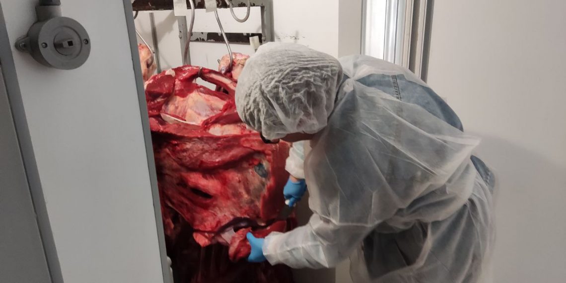 Ульяновское Агентство ветеринарии проверило продукты в детских лагерях