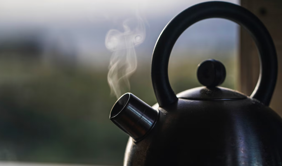 Жительница Димитровграда пыталась убить своего мужа чайником