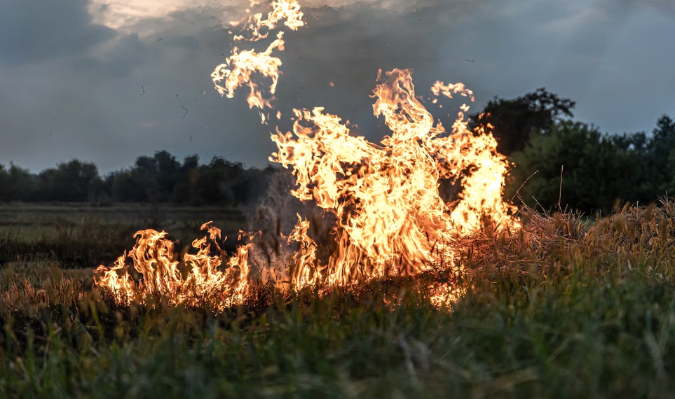 Около Димитровграда впервые за 20 лет загорелись торфяники