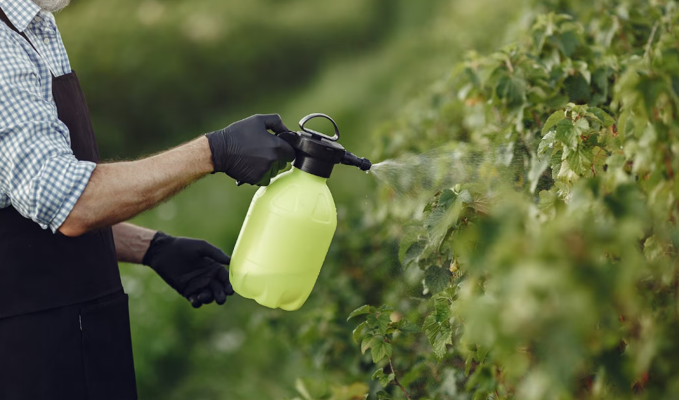Нарушения в применении пестицидов выявили в Ульяновской области