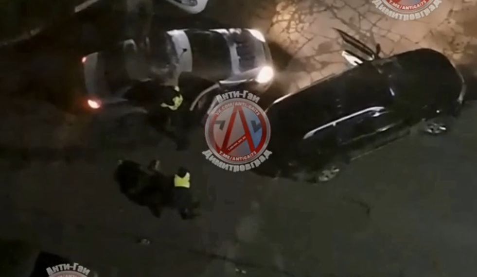В Димитровграде пьяный водитель и его пассажир подрались с гаишниками — видео