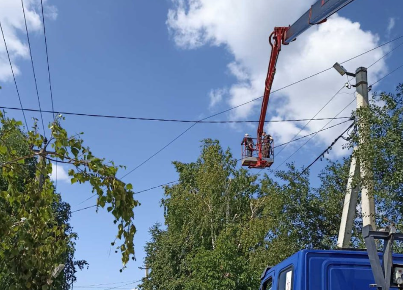 На минувшей неделе в Ульяновске снесли 62 потенциально опасных дерева