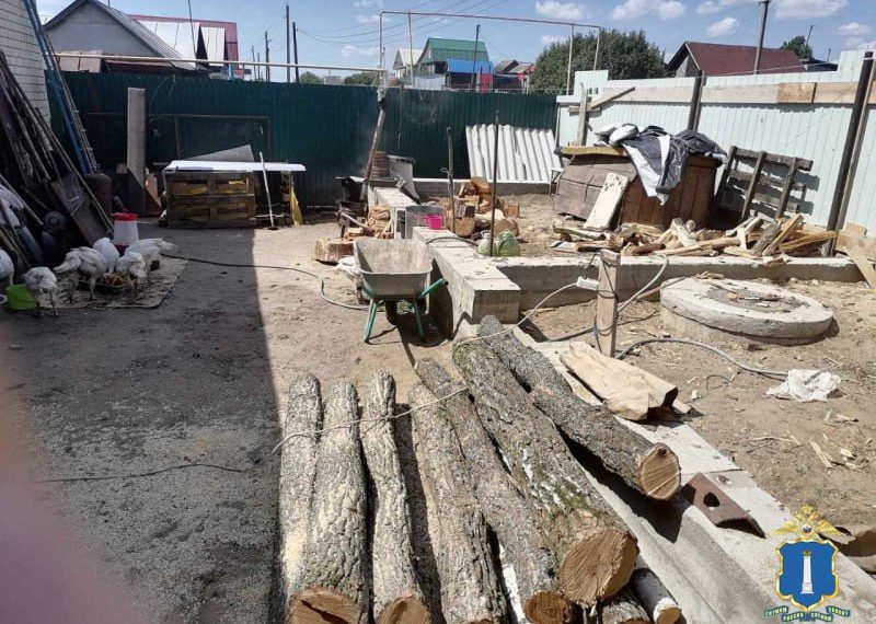 Житель Пензенского региона незаконно валил деревья в Ульяновской области