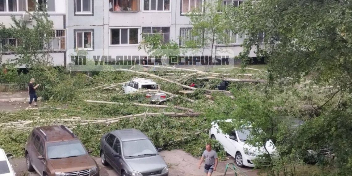 Три тополя под натиском ветра рухнули на припаркованные машины в Новом городе