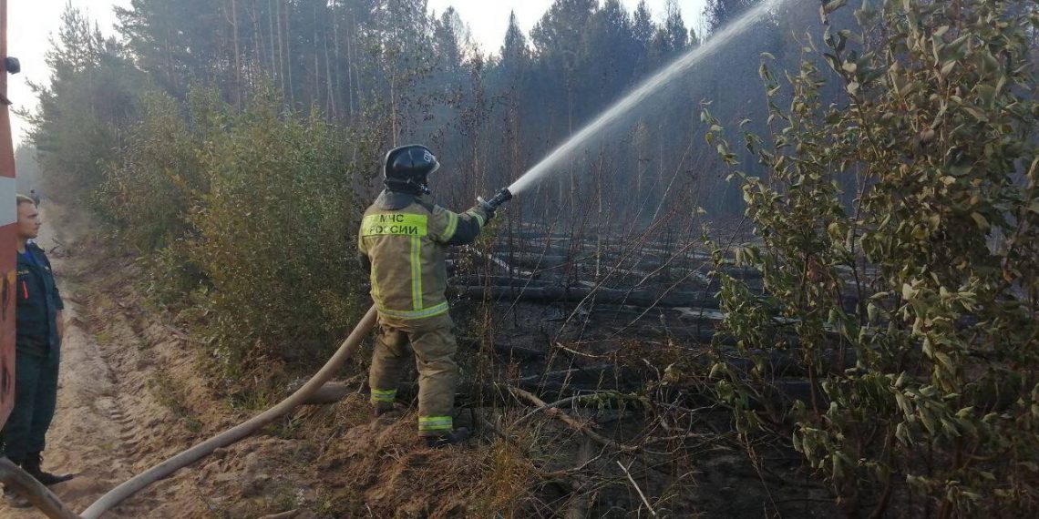 Масштабный природный пожар в Кузоватовском районе удалось потушить утром 30 июля