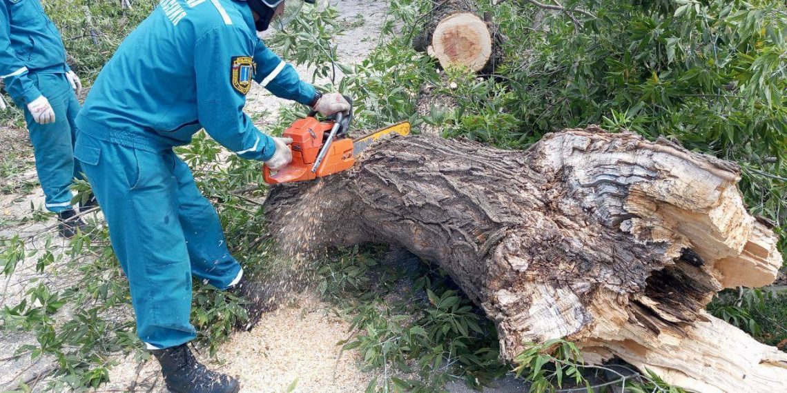 В 15-ти пострадавших от урагана муниципалитетах Ульяновской области идут восстановительные работы