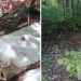Полтонны мусора вывезли с территории Сурского лесничества