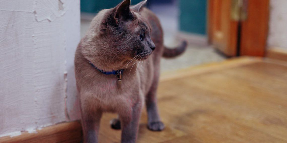 Пропал сотрудник Художественного музея