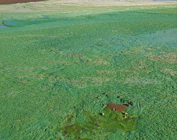 Купаться на Юрманках не рекомендуется