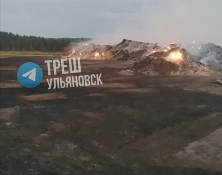 Элеватор в Кузоватово устроил экокатастрофу