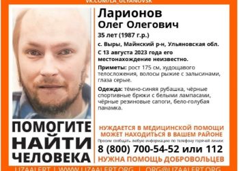 «Лиза Алерт» просит помощи