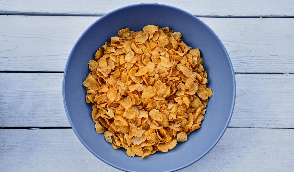 Завод по производству овсянки и «Геркулеса» построят в Ульяновской области