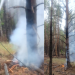 На выходных в Ульяновской области молнии устроили три лесных пожара