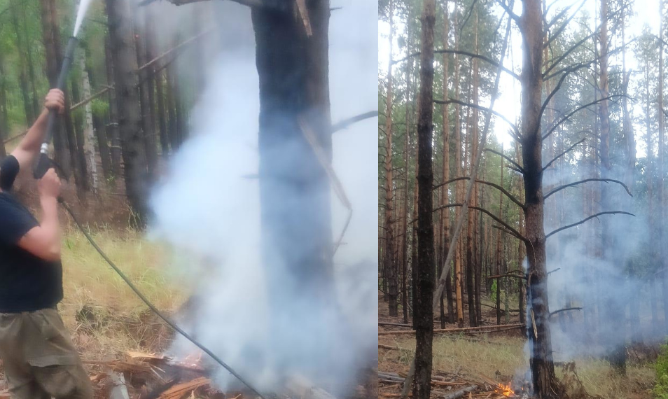 На выходных в Ульяновской области молнии устроили три лесных пожара