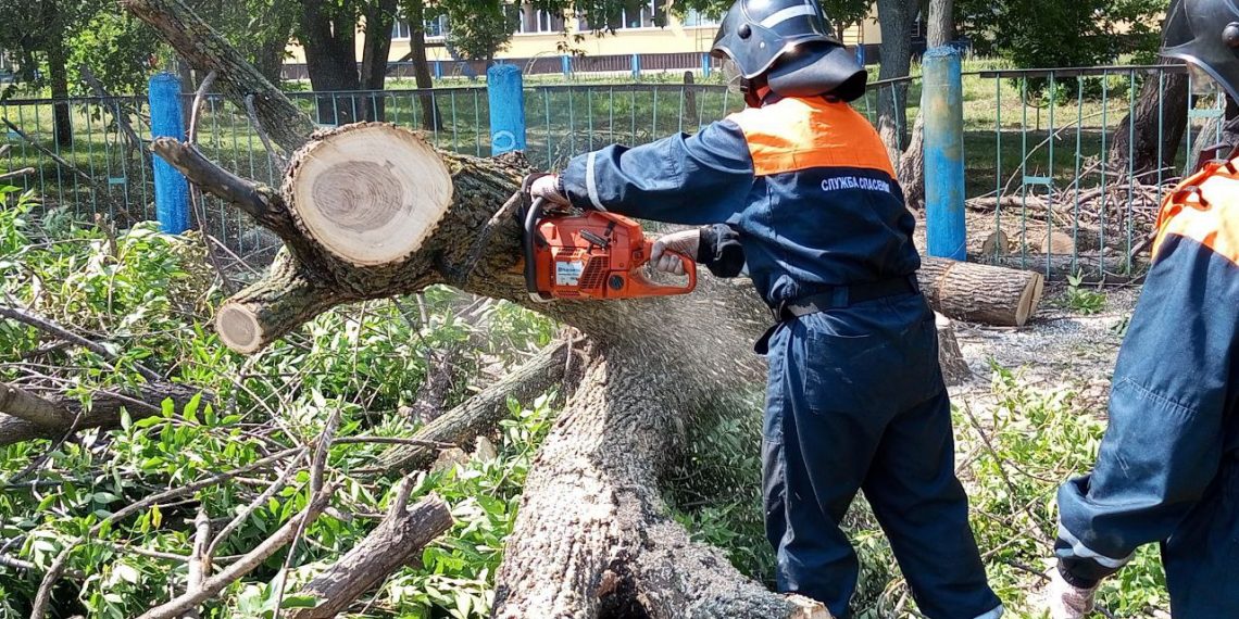 В Ульяновске убрали 610 поваленных ураганом деревьев