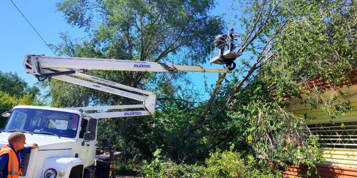 Ульяновским озеленителям купят ещё одну автовышку