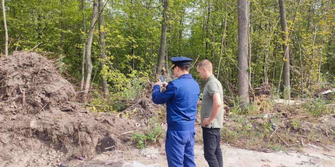 Димитровградская прокуратура выявила масштабную незаконную вырубку деревьев