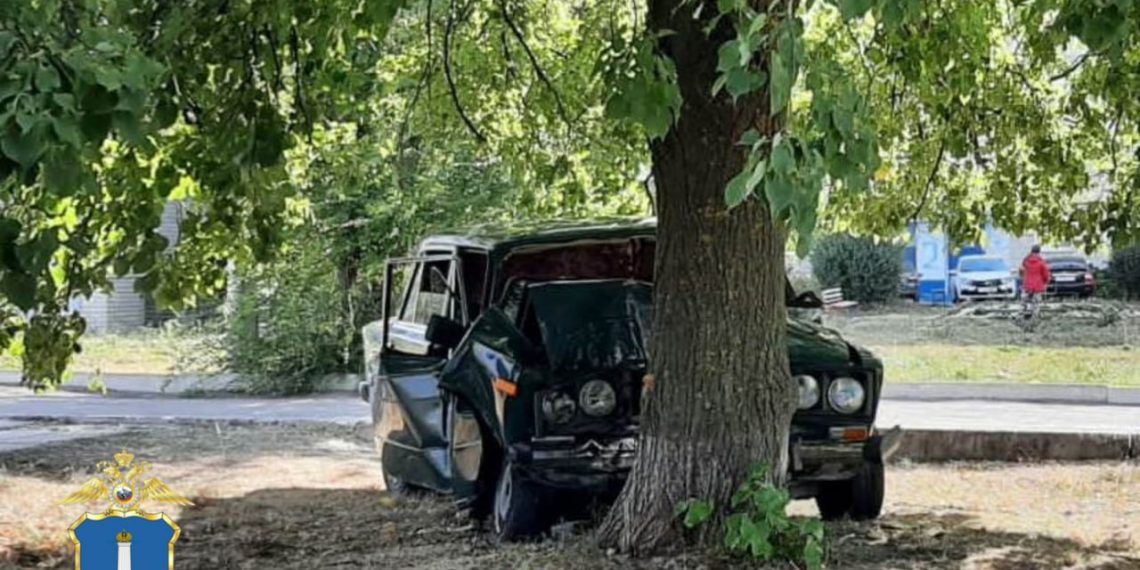 «Шестёрка» протаранила дерево на севере Ульяновска