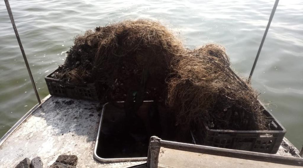 217 брошенных браконьерами рыболовных сетей выловили в Черемшанском заливе