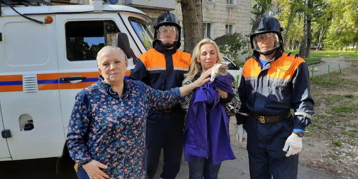 Ульяновские спасатели сняли с дерева котёнка, просидевшего там четыре дня